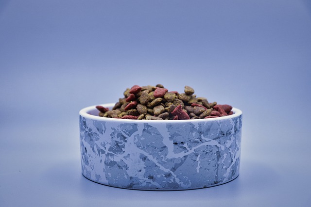 Dry Cat Food Nutrition Comparison Chart